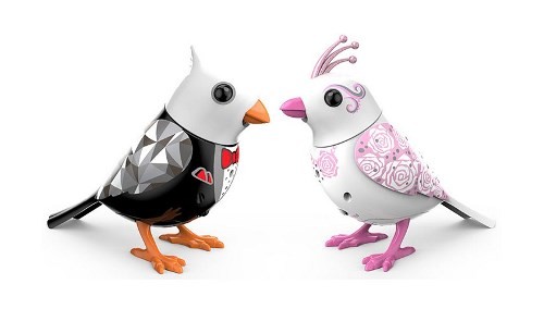 Птички жених и невеста